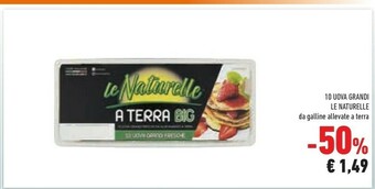 Conad Le Naturelle - 10 Uova Fresche Medie offerta