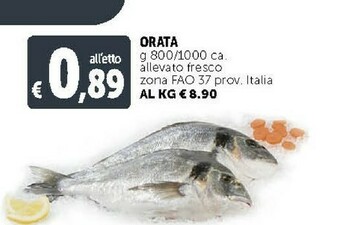 Deco Supermercati Orata offerta