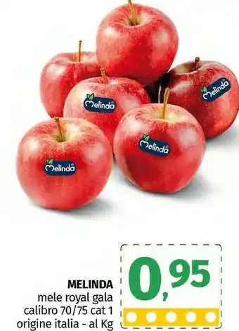 Pam Melinda Mele Royal Gala offerta