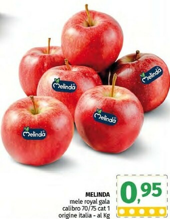 Pam Melinda Mele Royal Gala offerta