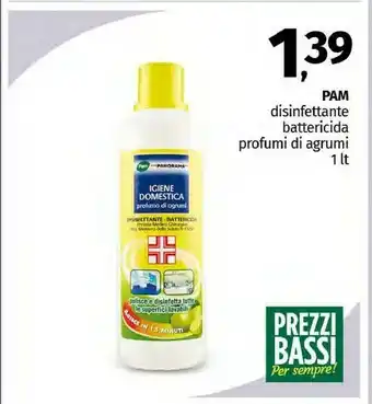 Pam Pam Disinfettante Battericida Profumi Di Agrumi offerta