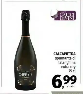 Pam Calcapietra Spumante Di Falanghina Extra Dry offerta