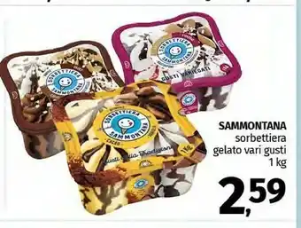 Sammontana Sorbettiera Gelato