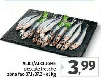Pam Alici offerta