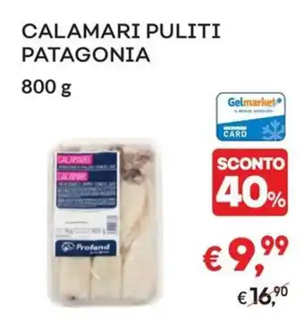 CALAMARI PULITI SCONTO PATAGONIA 800 g