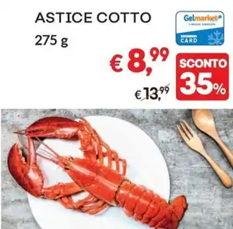 ASTICE COTTO 275 Gelmarkets