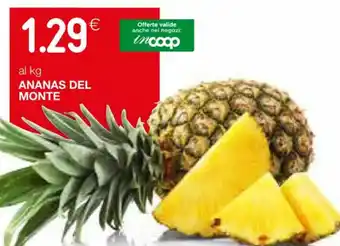 Coop ANANAS DEL MONTE offerta