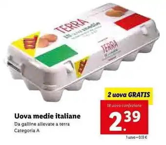 Lidl Uova medie italiane 18 uova offerta