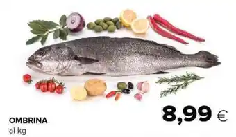 Oasi OMBRINA offerta
