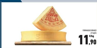 Conad Formaggio Branzi offerta