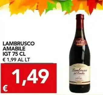 TuoDi Lambrusco Amabile Igt offerta