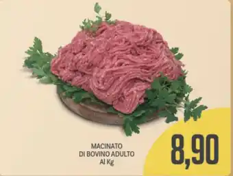 Supermercati Piccolo MACINATO DI BOVINO ADULTO offerta