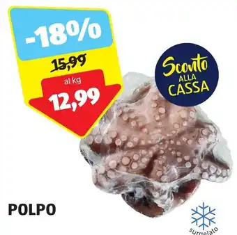 ALDI POLPO offerta