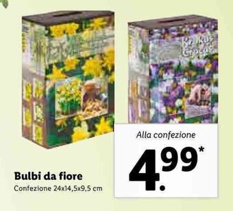Lidl Bulbi da fiore offerta