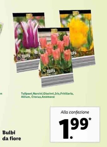 Lidl Bulbi da fiore offerta