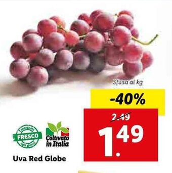 Lidl Uva Red Globe offerta