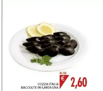 Cozza Italia Raccolte In Sardegna