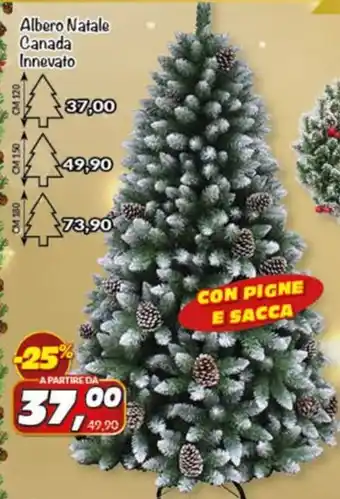 Risparmio Casa Albero Natale Canada Innevato offerta