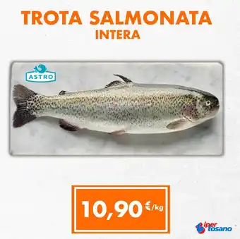 Iper Tosano TROTA SALMONATA INTERA offerta