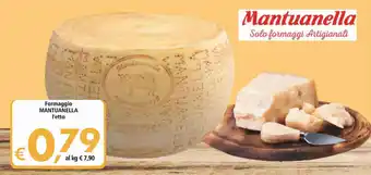 Alter Discount Mantuanella Formaggio l'etto offerta
