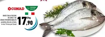 Conad ORATE ITALIA FRESCHE DA CIRCA 1 KG offerta
