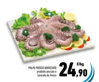 Conad POLPO FRESCO ARRICCIATO offerta