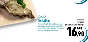 OSTRICHE TENTATION