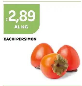 CACHI PERSIMON