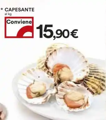 Coop CAPESANTE offerta