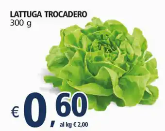 Alter Discount Lattuga Trocadero 300 g offerta