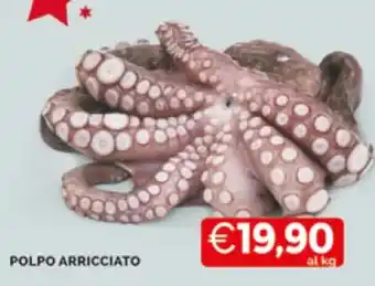 Mercatò POLPO ARRICCIATO offerta