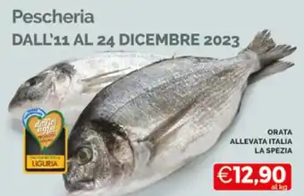 Mercatò ORATA ALLEVATA ITALIA LA SPEZIA offerta