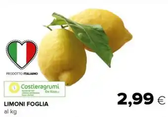 LIMONI FOGLIA