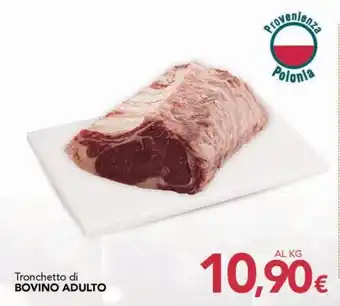Tronchetto di BOVINO ADULTO