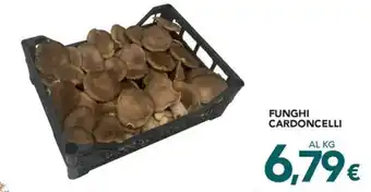 Altasfera FUNGHI CARDONCELLI offerta