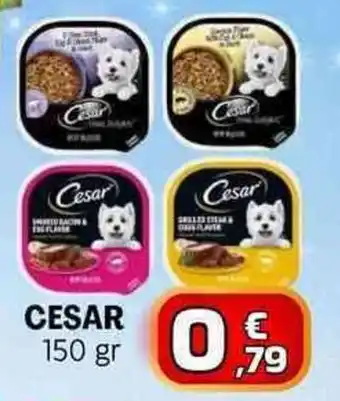 MEGA CESAR 150 gr offerta