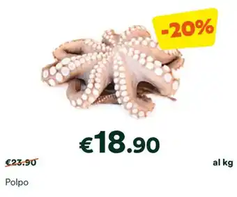 Unes Polpo offerta