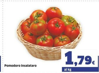 Sigma Pomodoro Insalataro offerta