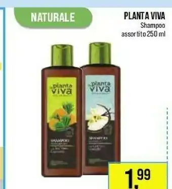 Lillapois Planta Viva Shampoo 250 Ml offerta