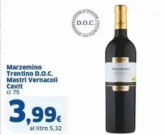 Marzemino Trentino D.O.C. Mastri Vernacoli Cavit cl 75