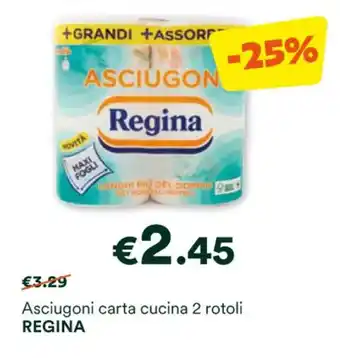 Asciugoni carta cucina 2 rotoli REGINA
