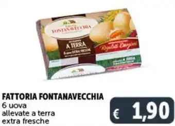 Deco Supermercati SACLA salsa g 190/210 offerta