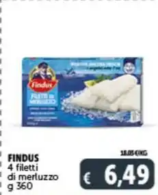 Deco Supermercati FINDUS 4 filetti di merluzzo g 360 offerta