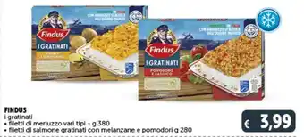Deco Supermercati FINDUS i gratinati filetti di merluzzo vari tipi - g 380 offerta