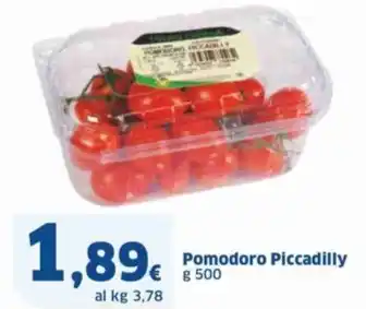 Sigma Pomodoro Piccadilly offerta