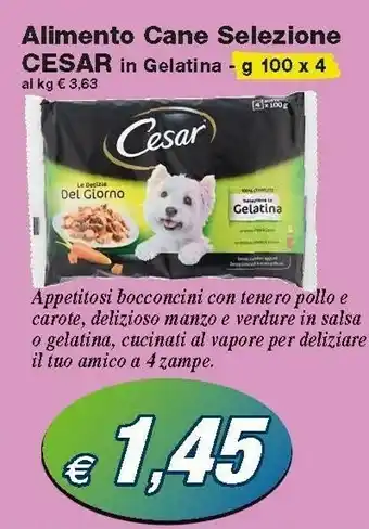 Cesar Alimento Cane Selezione