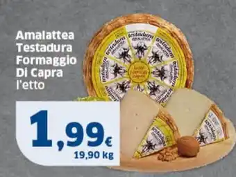Sigma Amalattea Testadura Formaggio Di Capra offerta