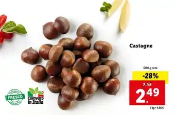 Lidl Castagne 500 g rete offerta