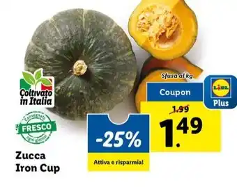 Lidl Zucca Iron Cup offerta