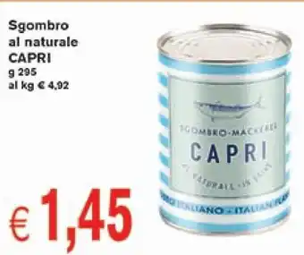 Sgombro al naturale CAPRI g 295